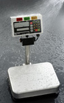 FS-i series: Stainless steel waterproof bench and platform scales.