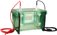 TV100: double plate vertical gel electrophoresis tank